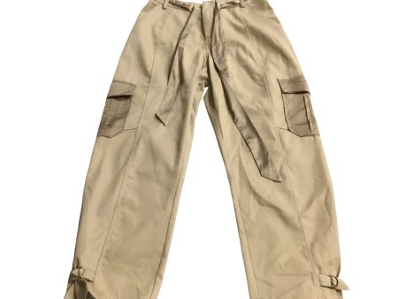 Pants Cargo & Utility By Clothes Mentor In Tan, Size: M Supply